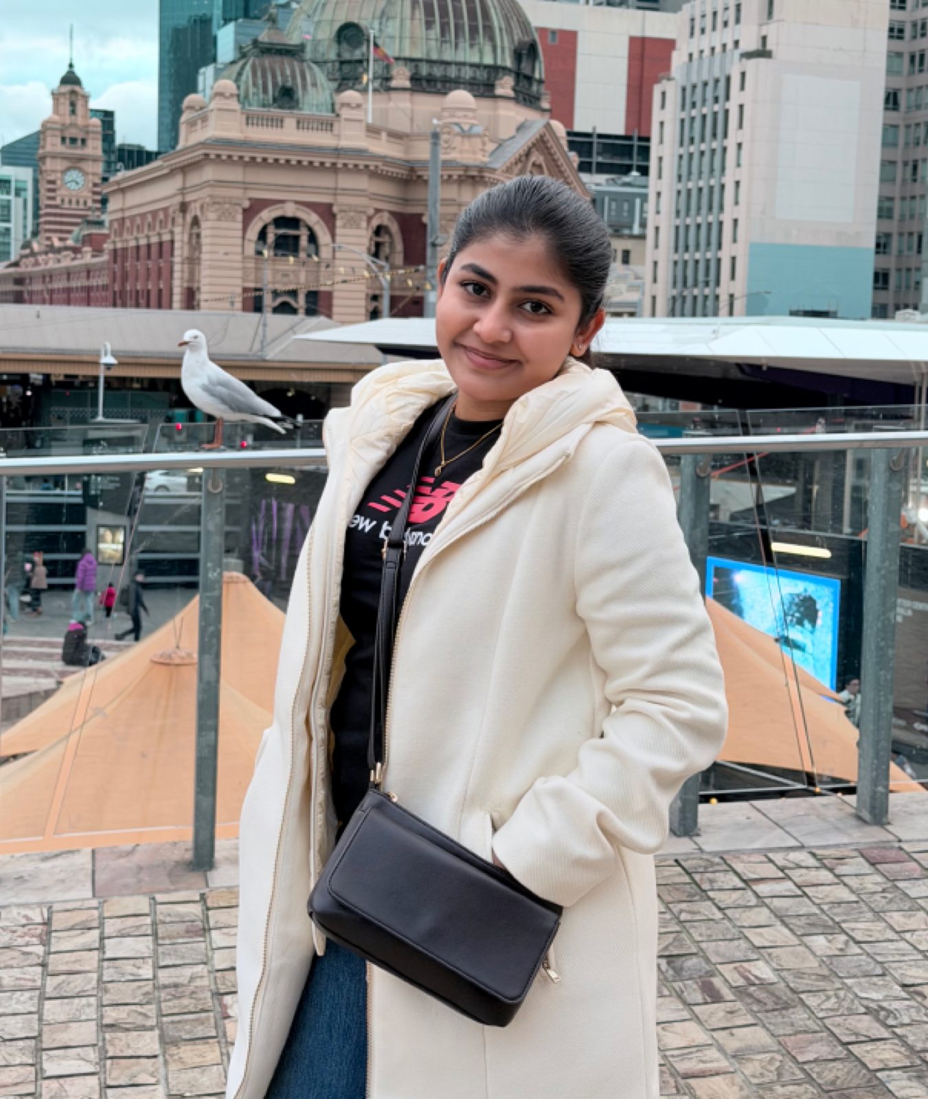 Anvi diaries